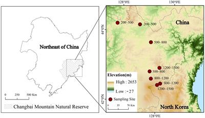 Soil microbial abundance was more affected by soil depth than the altitude in peatlands